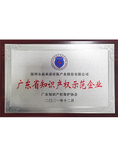 广东省知识产权示范企业证书